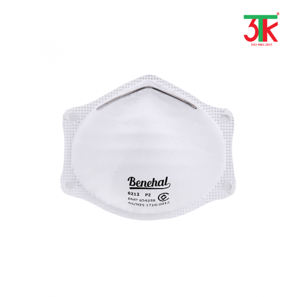 Khẩu trang lọc bụi P2 đúc khuôn dùng một lần 6212